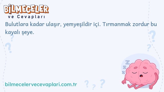 Bulutlara kadar ulaşır, yemyeşildir içi. Tırmanmak zordur bu kayalı şeye.