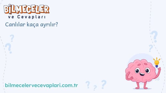 Canlılar kaça ayrılır?