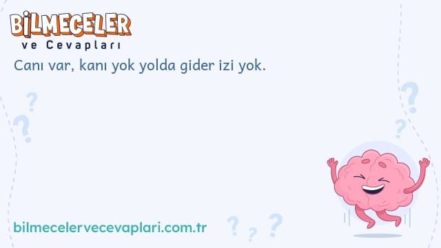 Canı var, kanı yok yolda gider izi yok.