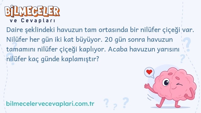 Daire şeklindeki havuzun tam ortasında bir nilüfer çiçeği var. Nilüfer her gün iki kat büyüyor. 20 gün sonra havuzun tamamını nilüfer çiçeği kaplıyor. Acaba havuzun yarısını nilüfer kaç günde kaplamıştır?