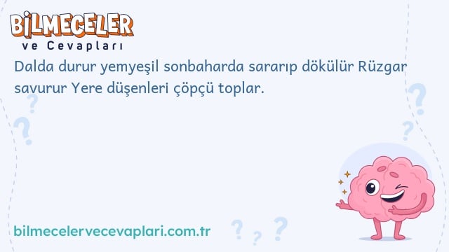 Dalda durur yemyeşil
sonbaharda sararıp dökülür
Rüzgar savurur
Yere düşenleri çöpçü toplar.