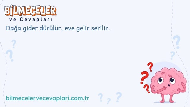 Dağa gider dürülür, eve gelir serilir.