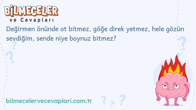 Değirmen önünde ot bitmez, göğe direk yetmez, hele gözün sevdiğim, sende niye boynuz bitmez?