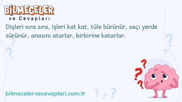 Dişleri sıra sıra, işleri kat kat, tüle bürünür, saçı yerde sürünür, anasını atarlar, birbirine katarlar.