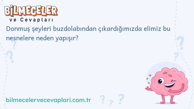 Donmuş şeyleri buzdolabından çıkardığımızda elimiz bu nesnelere neden yapışır?