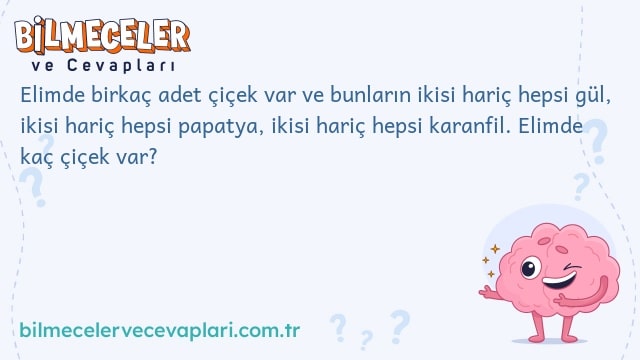 Elimde birkaç adet çiçek var ve bunların ikisi hariç hepsi gül, ikisi hariç hepsi papatya, ikisi hariç hepsi karanfil. Elimde kaç çiçek var?