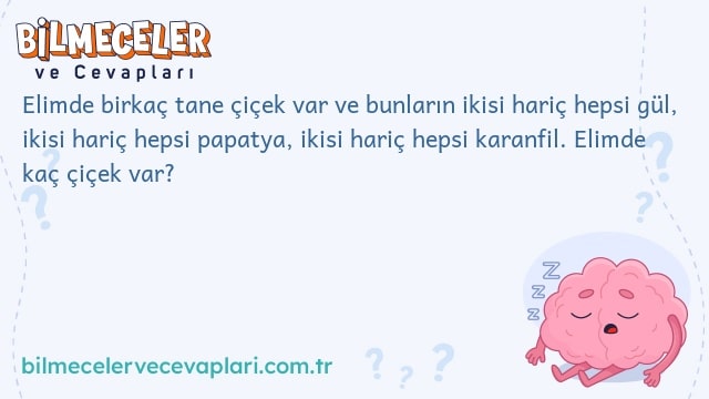 Elimde birkaç tane çiçek var ve bunların ikisi hariç hepsi gül, ikisi hariç hepsi papatya, ikisi hariç hepsi karanfil. Elimde kaç çiçek var?