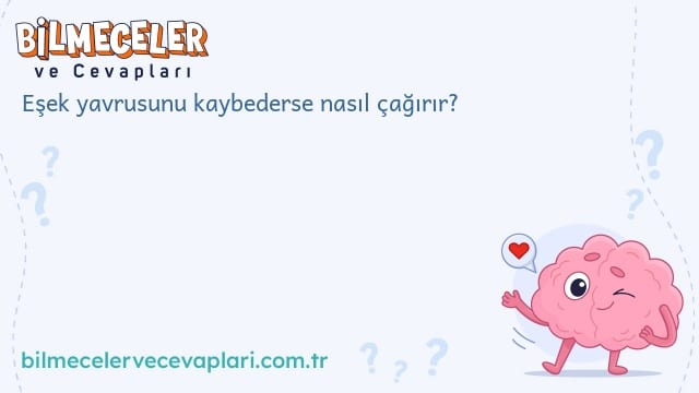 Eşek yavrusunu kaybederse nasıl çağırır?