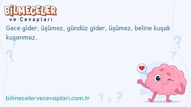 Gece gider, üşümez, gündüz gider, üşümez, beline kuşak kuşanmaz.