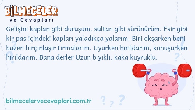 Gelişim kaplan gibi duruşum, sultan gibi sürünürüm. Esir gibi kir pas içindeki kapları yaladıkça yalarım. Biri okşarken beni bazen hırçınlaşır tırmalarım. Uyurken hırıldarım, konuşurken hırıldarım. Bana derler Uzun bıyıklı, kaka kuyruklu.