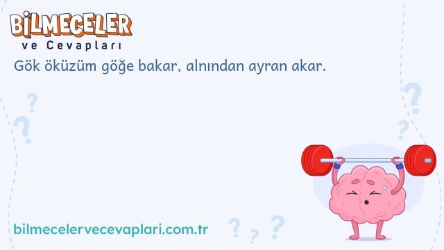 Gök öküzüm göğe bakar, alnından ayran akar.