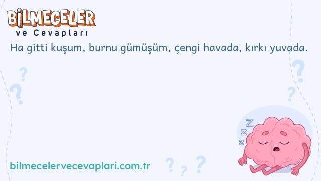 Ha gitti kuşum, burnu gümüşüm, çengi havada, kırkı yuvada.