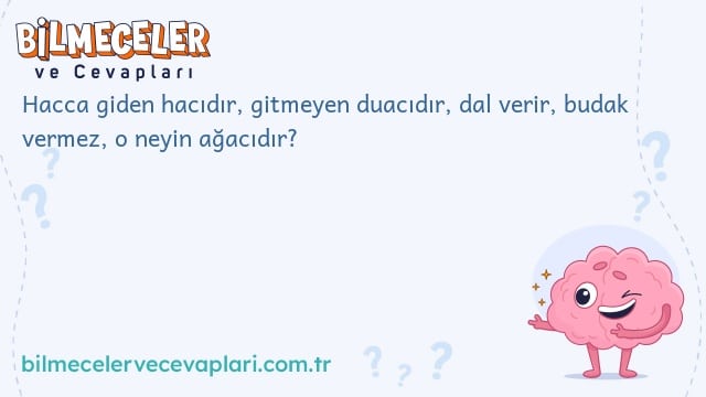 Hacca giden hacıdır, gitmeyen duacıdır, dal verir, budak vermez, o neyin ağacıdır?