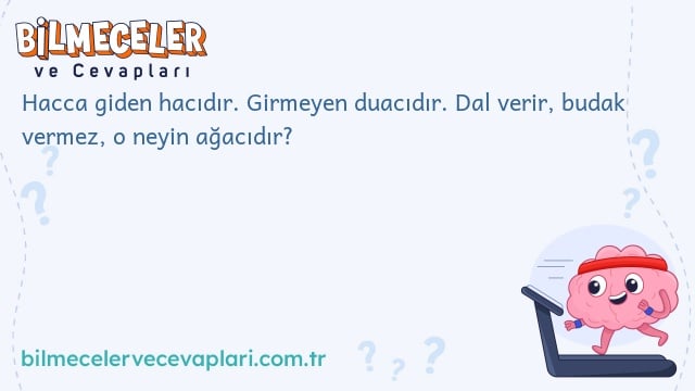 Hacca giden hacıdır. Girmeyen duacıdır. Dal verir, budak vermez, o neyin ağacıdır?