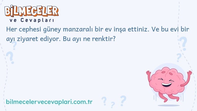 Her cephesi güney manzaralı bir ev inşa ettiniz. Ve bu evi bir ayı ziyaret ediyor. Bu ayı ne renktir?