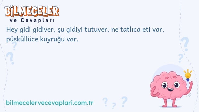 Hey gidi gidiver, şu gidiyi tutuver, ne tatlıca eti var, püsküllüce kuyruğu var.