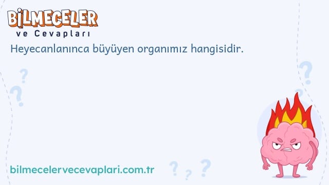 Heyecanlanınca büyüyen organımız hangisidir.