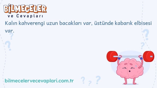 Kalın kahverengi uzun bacakları var, üstünde kabarık elbisesi var.