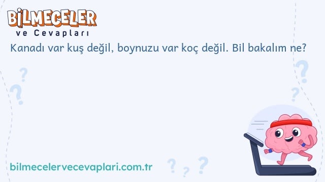 Kanadı var kuş değil, boynuzu var koç değil. Bil bakalım ne?