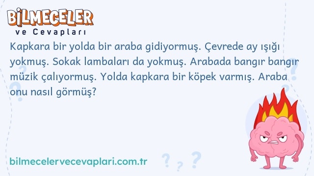 Kapkara bir yolda bir araba gidiyormuş. Çevrede ay ışığı yokmuş. Sokak lambaları da yokmuş. Arabada bangır bangır müzik çalıyormuş. Yolda kapkara bir köpek varmış. Araba onu nasıl görmüş?