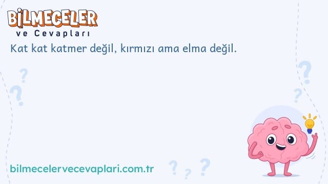 Kat kat katmer değil, kırmızı ama elma değil.