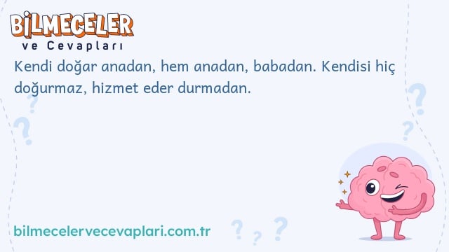 Kendi doğar anadan, hem anadan, babadan. Kendisi hiç doğurmaz, hizmet eder durmadan.