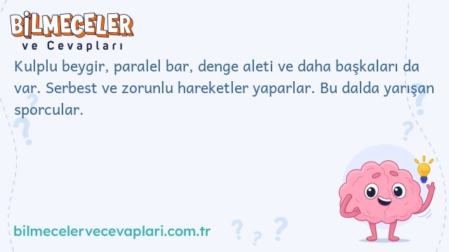 Kulplu beygir, paralel bar, denge aleti ve daha başkaları da var. Serbest ve zorunlu hareketler yaparlar. Bu dalda yarışan sporcular.