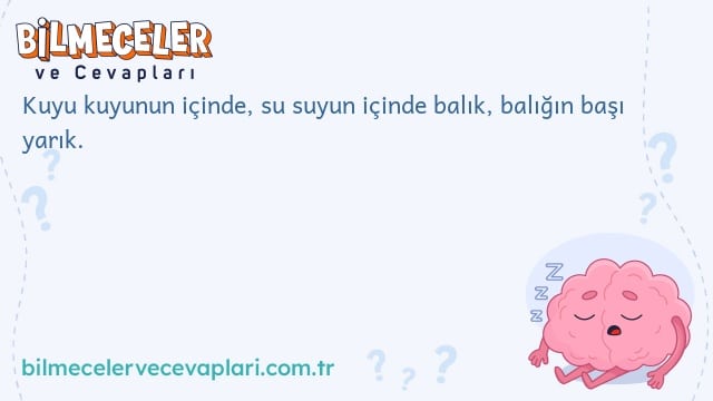 Kuyu kuyunun içinde, su suyun içinde balık, balığın başı yarık.