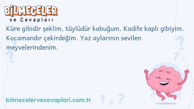 Küre gibidir şeklim, tüylüdür kabuğum. Kadife kaplı gibiyim. Kocamandır çekirdeğim. Yaz aylarının sevilen meyvelerindenim.