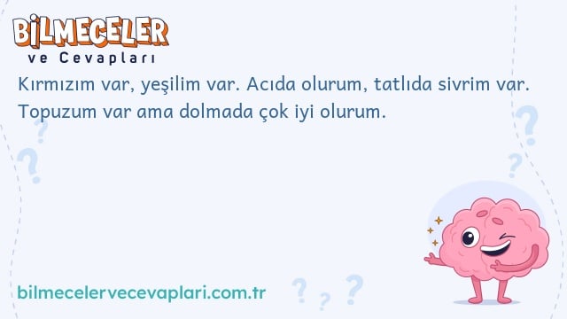 Kırmızım var, yeşilim var. Acıda olurum, tatlıda sivrim var. Topuzum var ama dolmada çok iyi olurum.