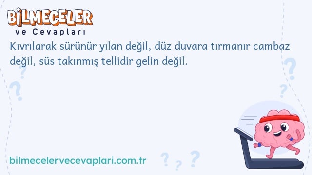 Kıvrılarak sürünür yılan değil, düz duvara tırmanır cambaz değil, süs takınmış tellidir gelin değil.