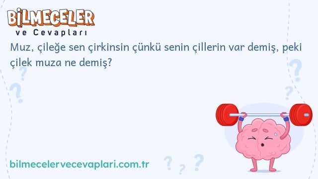 Muz, çileğe sen çirkinsin çünkü senin çillerin var demiş, peki çilek muza ne demiş?