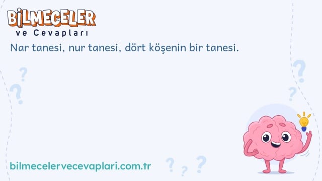 Nar tanesi, nur tanesi, dört köşenin bir tanesi.