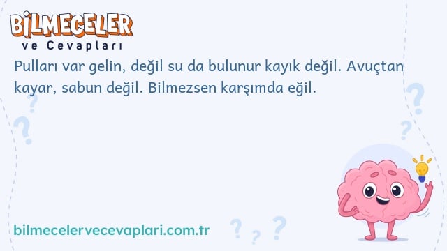 Pulları var gelin, değil su da bulunur kayık değil. Avuçtan kayar, sabun değil. Bilmezsen karşımda eğil.