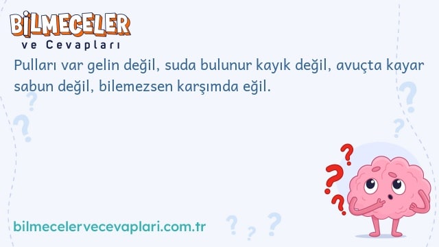 Pulları var gelin değil, suda bulunur kayık değil, avuçta kayar sabun değil, bilemezsen karşımda eğil.