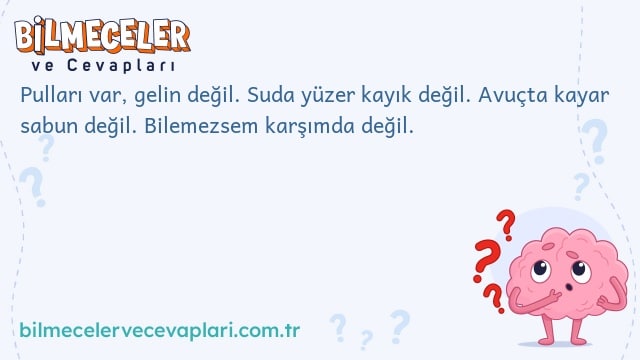 Pulları var, gelin değil. Suda yüzer kayık değil. Avuçta kayar sabun değil. Bilemezsem karşımda değil.