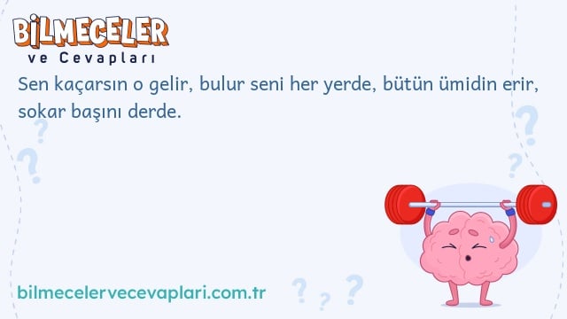 Sen kaçarsın o gelir, bulur seni her yerde, bütün ümidin erir, sokar başını derde.