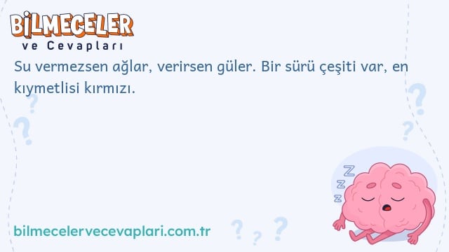 Su vermezsen ağlar, verirsen güler. Bir sürü çeşiti var, en kıymetlisi kırmızı.