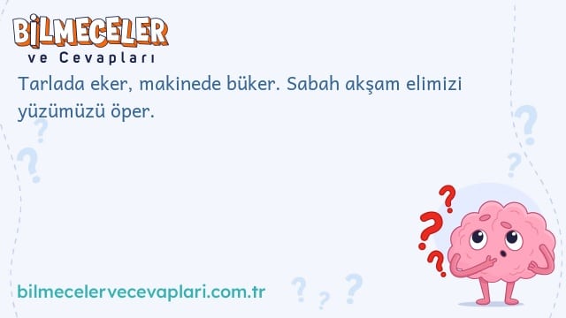 Tarlada eker, makinede büker. Sabah akşam elimizi yüzümüzü öper.