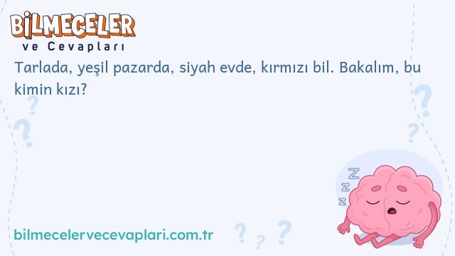 Tarlada, yeşil pazarda, siyah evde, kırmızı bil. Bakalım, bu kimin kızı?