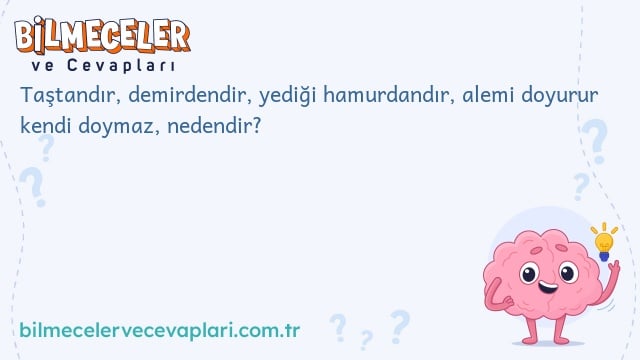 Taştandır, demirdendir, yediği hamurdandır, alemi doyurur kendi doymaz, nedendir?