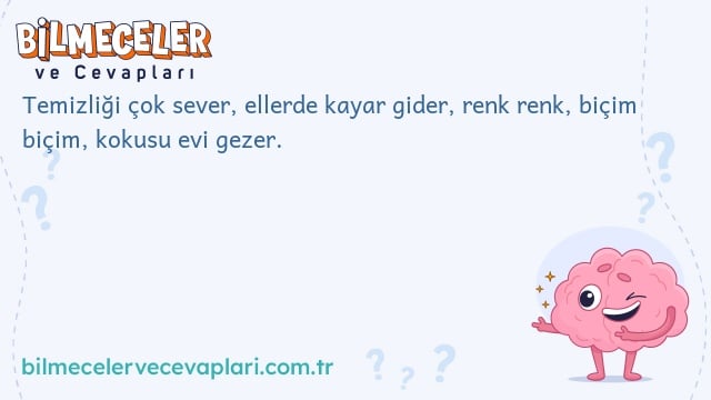 Temizliği çok sever, ellerde kayar gider, renk renk, biçim biçim, kokusu evi gezer.