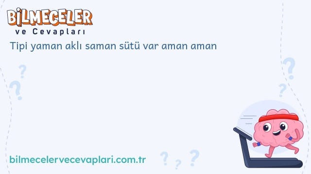 Tipi yaman aklı saman sütü var aman aman