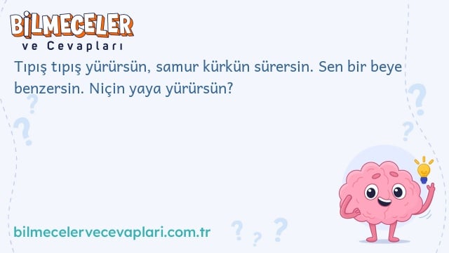 Tıpış tıpış yürürsün, samur kürkün sürersin. Sen bir beye benzersin. Niçin yaya yürürsün?