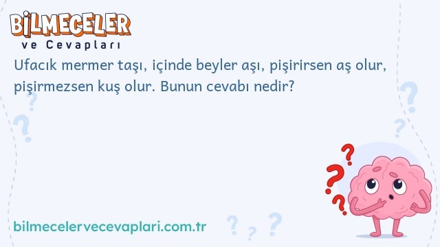 Ufacık mermer taşı, içinde beyler aşı, pişirirsen aş olur, pişirmezsen kuş olur. Bunun cevabı nedir?