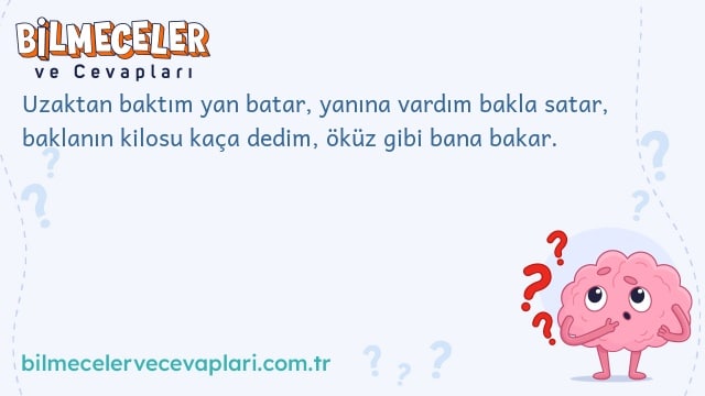 Uzaktan baktım yan batar, yanına vardım bakla satar, baklanın kilosu kaça dedim, öküz gibi bana bakar.