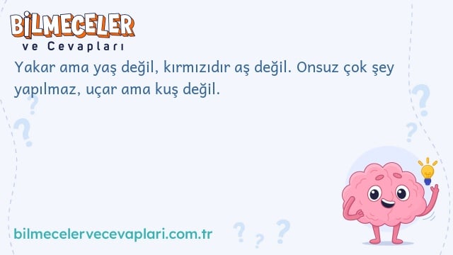 Yakar ama yaş değil, kırmızıdır aş değil. Onsuz çok şey yapılmaz, uçar ama kuş değil.