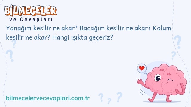 Yanağım kesilir ne akar? Bacağım kesilir ne akar? Kolum kesilir ne akar? Hangi ışıkta geçeriz?