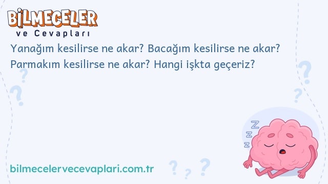 Yanağım kesilirse ne akar? Bacağım kesilirse ne akar? Parmakım kesilirse ne akar? Hangi işkta geçeriz?