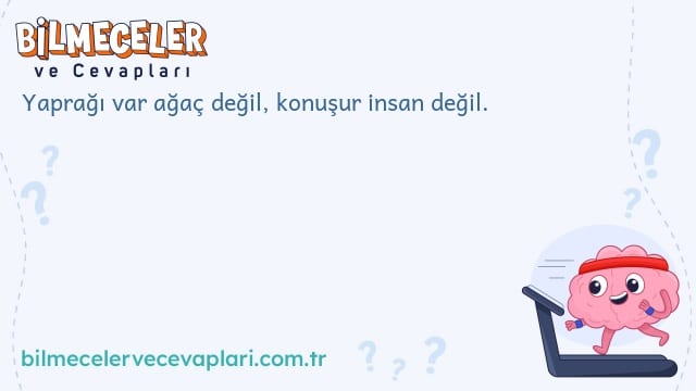 Yaprağı var ağaç değil, konuşur insan değil.